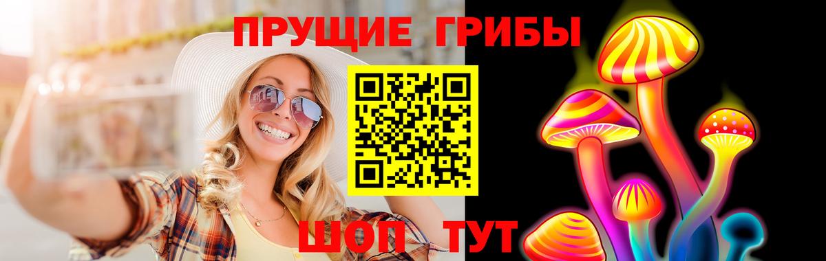 Михайловка  купить   Вход с VPN  Галлюциногенные грибы Cubensis 